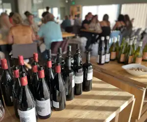 Wine Dinner