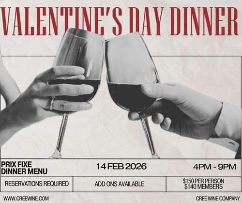 Valentines Day Dinner