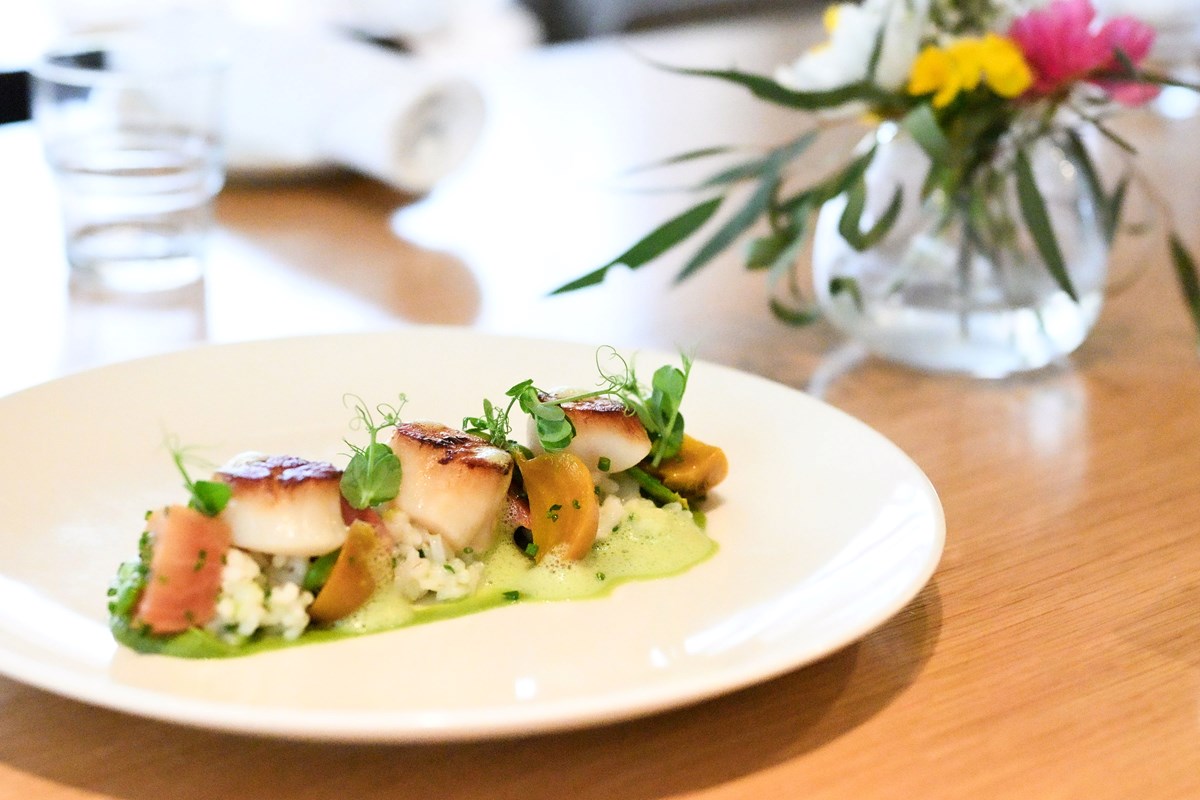 Sea Scallops, Cree Wine Company, Hampton NJ